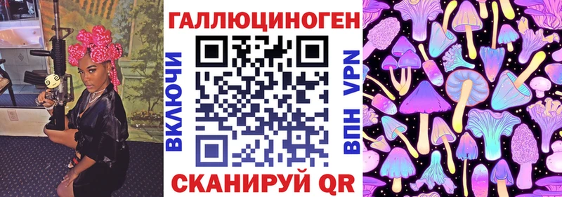 Галлюциногенные грибы Psilocybine cubensis  Байкальск 